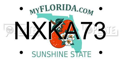NXKA73 Florida License Plate
