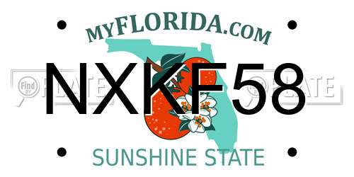 NXKF58 Florida License Plate