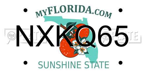 NXKQ65 Florida License Plate