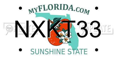 NXKT33 Florida License Plate