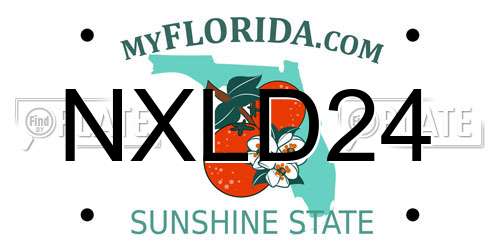 NXLD24 Florida License Plate