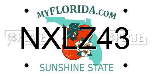 NXLZ43 Florida License Plate