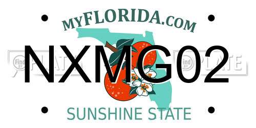 NXMG02 Florida License Plate