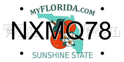 NXMQ78 Florida License Plate