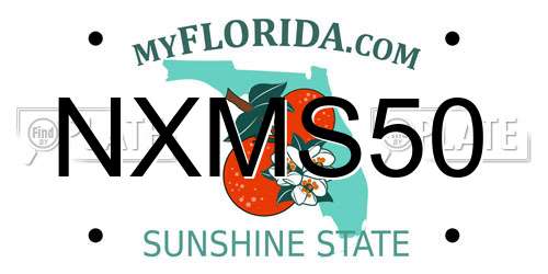 NXMS50 Florida License Plate