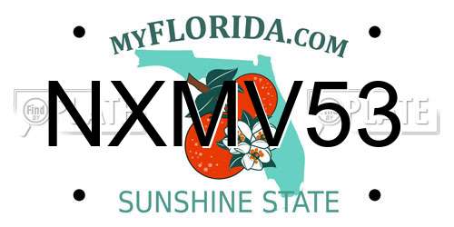 NXMV53 Florida License Plate