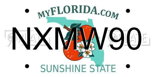 NXMW90 Florida License Plate
