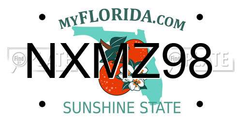 NXMZ98 Florida License Plate