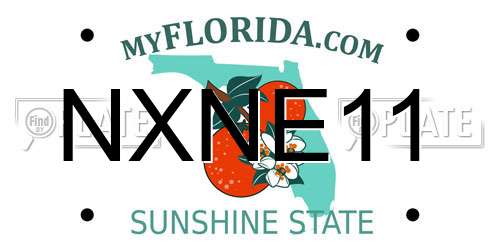 NXNE11 Florida License Plate