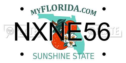 NXNE56 Florida License Plate