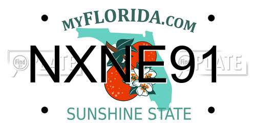NXNE91 Florida License Plate