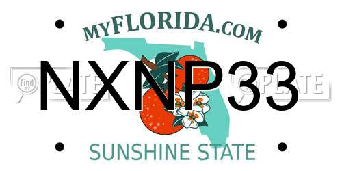 NXNP33 Florida License Plate