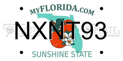NXNT93 Florida License Plate