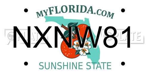 NXNW81 Florida License Plate
