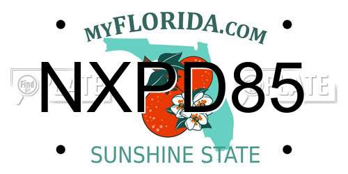 NXPD85 Florida License Plate