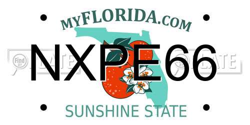 NXPE66 Florida License Plate