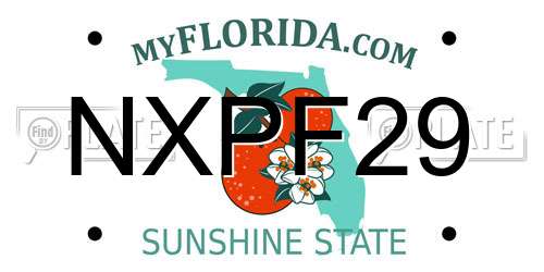 NXPF29 Florida License Plate