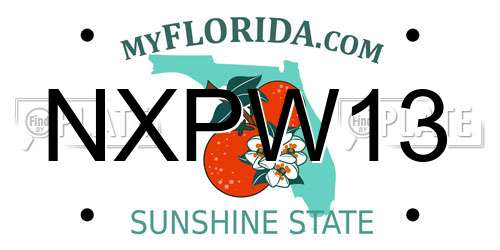 NXPW13 Florida License Plate