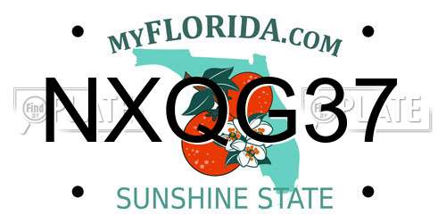 NXQG37 Florida License Plate