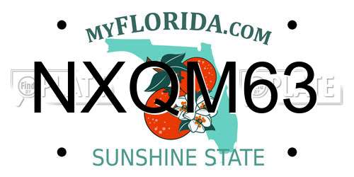 NXQM63 Florida License Plate