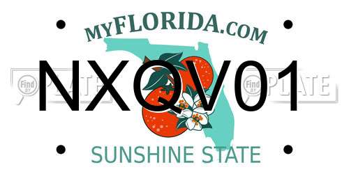 NXQV01 Florida License Plate