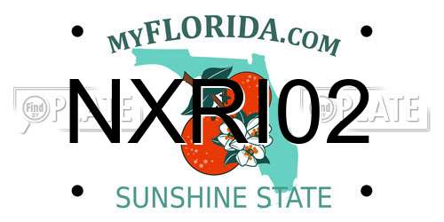 NXRI02 Florida License Plate