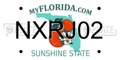 NXRJ02 Florida License Plate