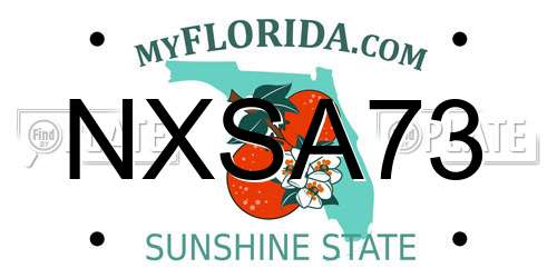 NXSA73 Florida License Plate
