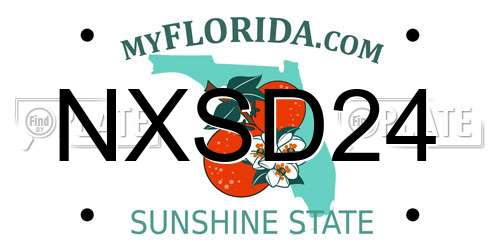NXSD24 Florida License Plate