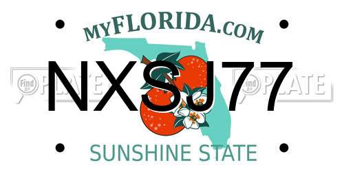 NXSJ77 Florida License Plate