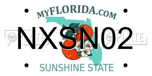 NXSN02 Florida License Plate