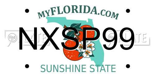 NXSP99 Florida License Plate