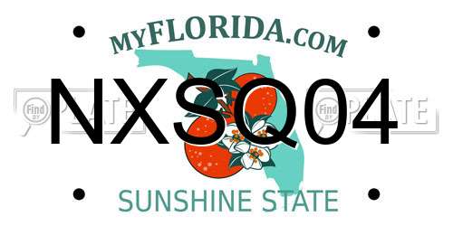 NXSQ04 Florida License Plate