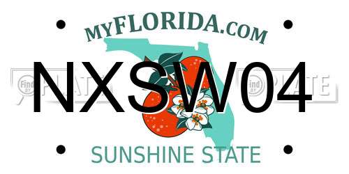 NXSW04 Florida License Plate