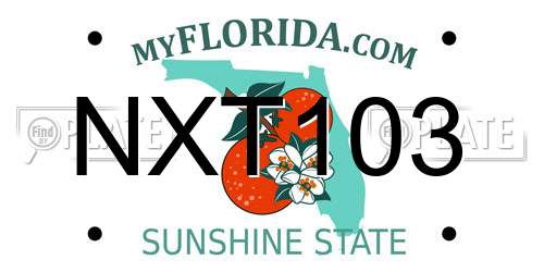 NXT103 Florida License Plate