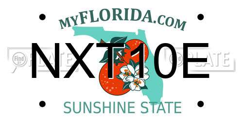 NXT10E Florida License Plate