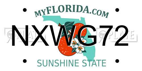 NXWG72 Florida License Plate
