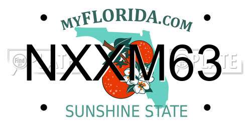 NXXM63 Florida License Plate