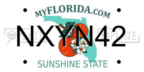 NXYN42 Florida License Plate