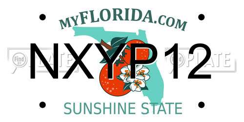 NXYP12 Florida License Plate
