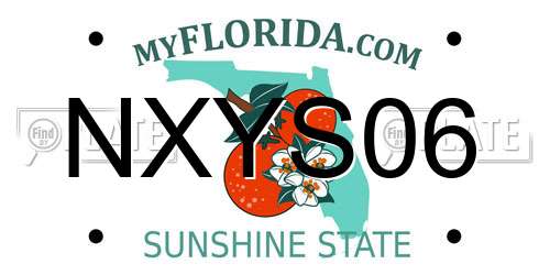 NXYS06 Florida License Plate