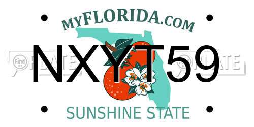 NXYT59 Florida License Plate