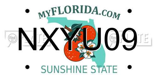NXYU09 Florida License Plate