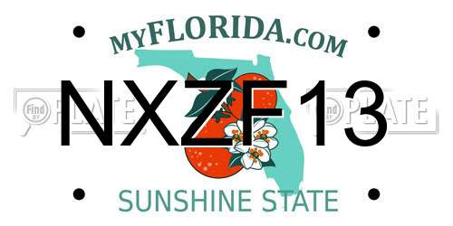 NXZF13 Florida License Plate