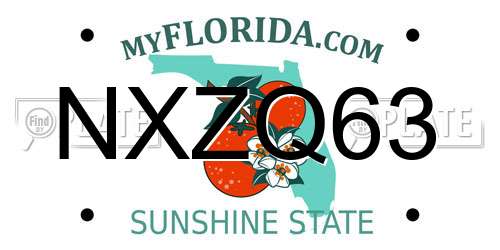 NXZQ63 Florida License Plate