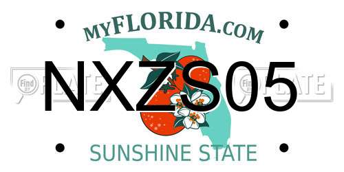 NXZS05 Florida License Plate