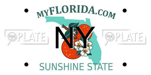 NY Florida License Plate