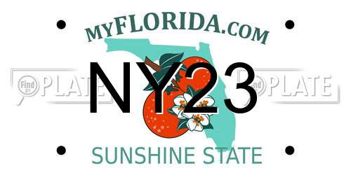 NY23 Florida License Plate