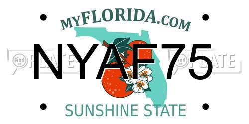 NYAF75 Florida License Plate