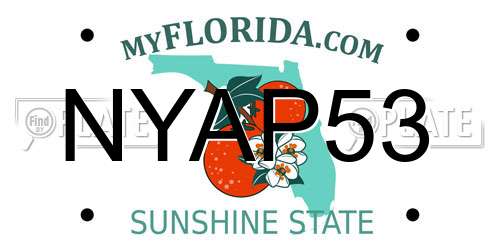 NYAP53 Florida License Plate